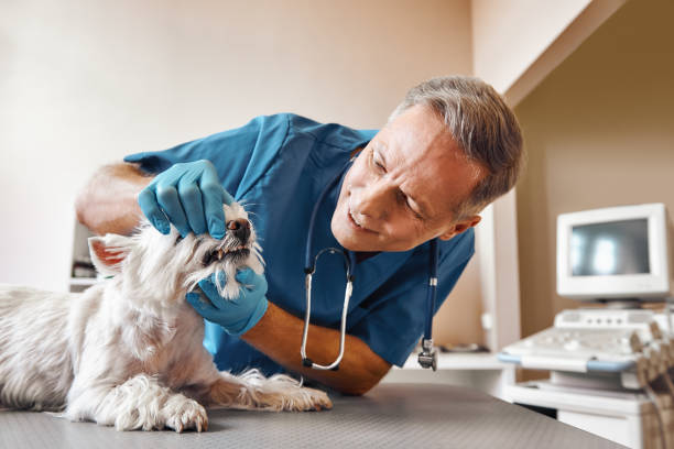 Best Emergency Treatment for Oral Infections in Halfway House, PA